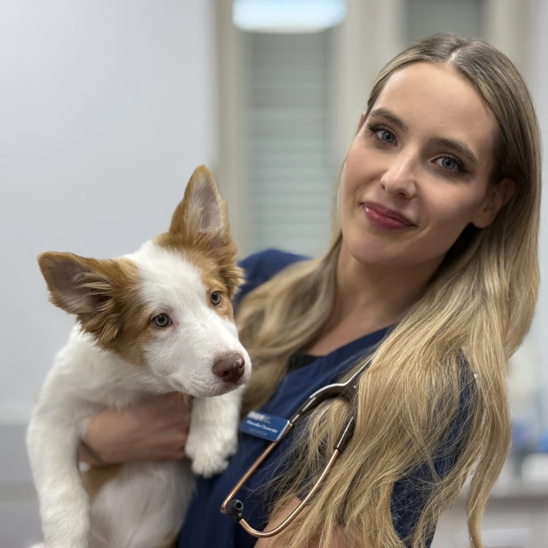 Lek. wet. Klaudia Osowska