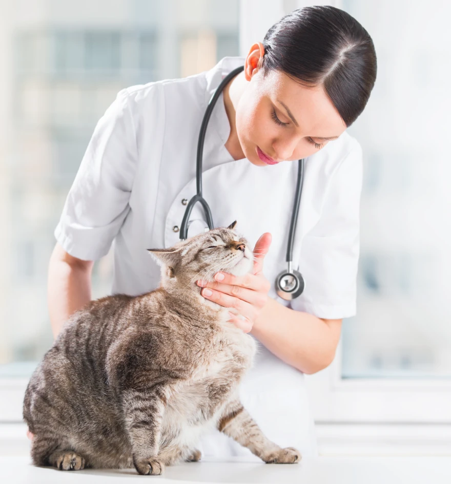 zoliborska-klinika-edina